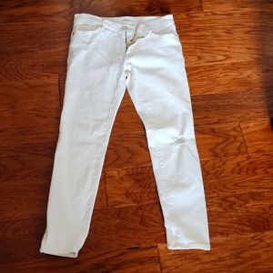 Ann Taylor LOFT Pants